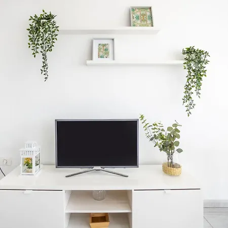 Live La Jaca El Remo Apartamento Arico